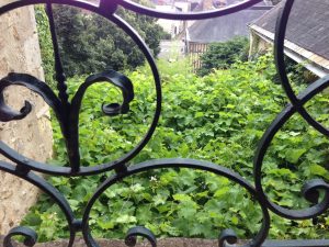 Le Logis Saint-Flaceau