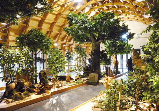 Maison de la Forêt – Arche de la Nature