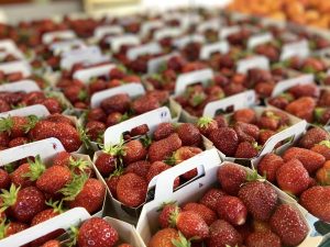 Marché des Jacobins – Le Mans
