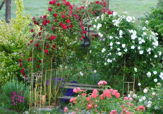 La Cabane de Saint-Fiacre et son Jardin d’Éole