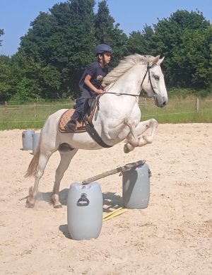 LES BRUMES PONY CLUB