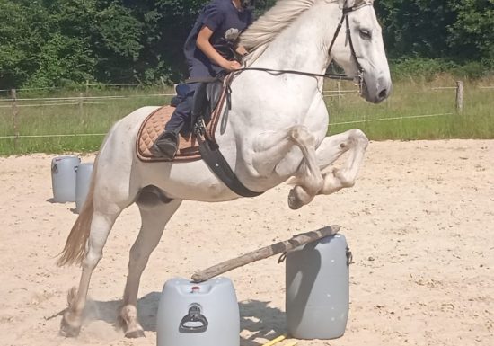 LES BRUMES PONY CLUB