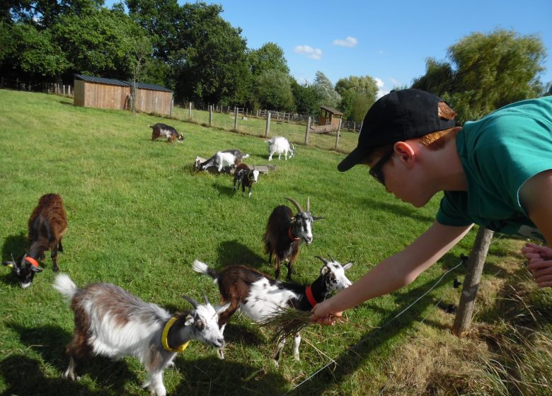 Maison de la Prairie – ferme et jardin potager