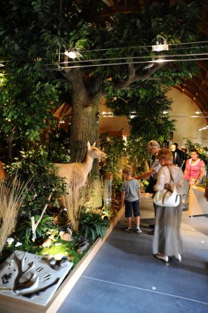 Maison de la Forêt – Arche de la Nature