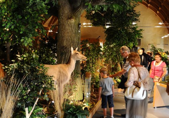 Maison de la Forêt – Arche de la Nature