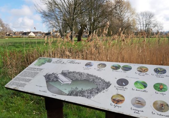 CIRCUIT PEDESTRE “ERABLE” – ST COSME EN VAIRAIS