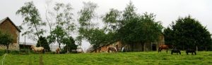 Equitation – Ferme équestre du Mont Cruchet