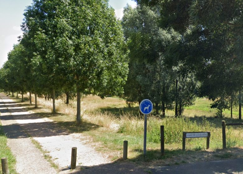 Parc de la Cigogne