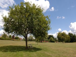 Parc des Gentianes