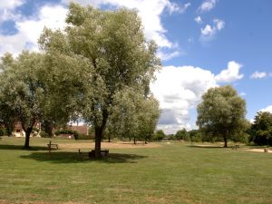 Parc des Gentianes