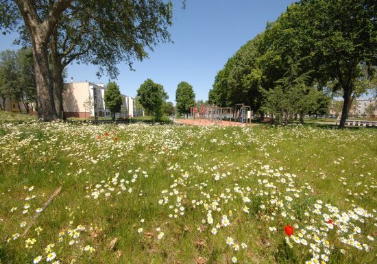 Parc des Glonnières