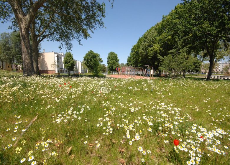 Parc des Glonnières