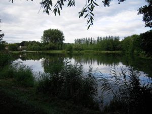 PARC PUBLIC DE BONNÉTABLE