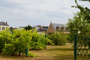Jardin potager de Bonnétable