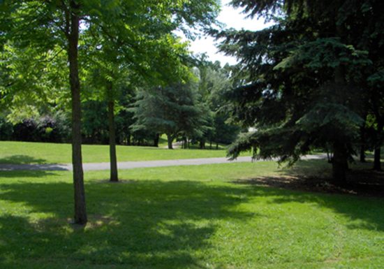 Parc de Gazonfier
