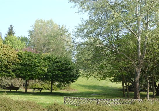 Parc de Gazonfier