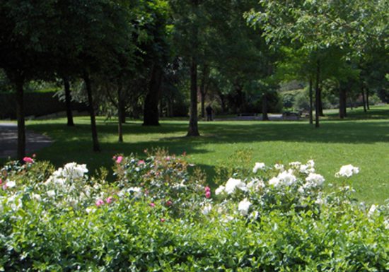 Parc de Gazonfier