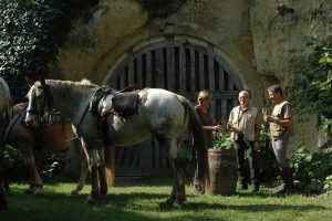 PARIGNE CHEVAL AVENTURES