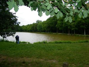 Pêche sur Grand Etang, Etang neuf, Etang du Moulin