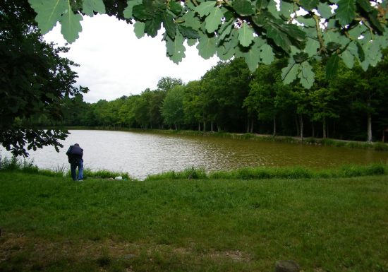 Pêche sur Grand Etang, Etang neuf, Etang du Moulin