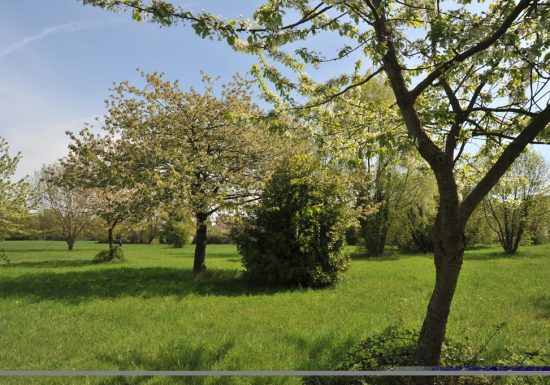 Parc du Gué de Maulny