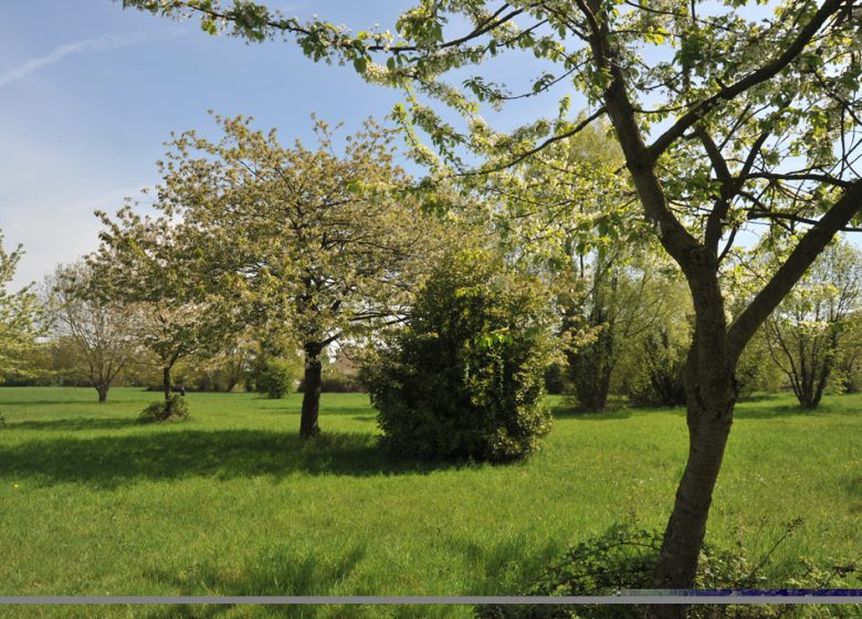 Parc du Gué de Maulny