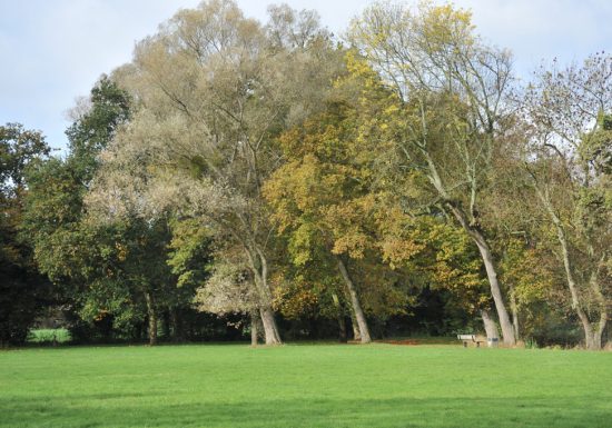 Parc du Gué de Maulny