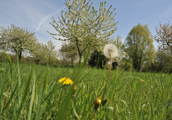 Parc du Gué de Maulny