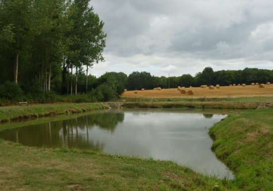 PÊCHE AU PLAN D’EAU DE BRIOSNE LÈS SABLES