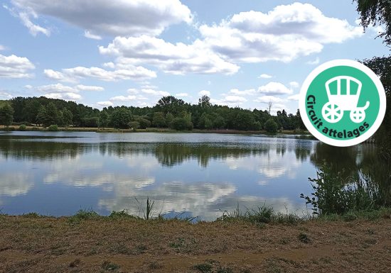 Circuit attelages du plan d’eau à Loudon – Parigné-l’Évêque