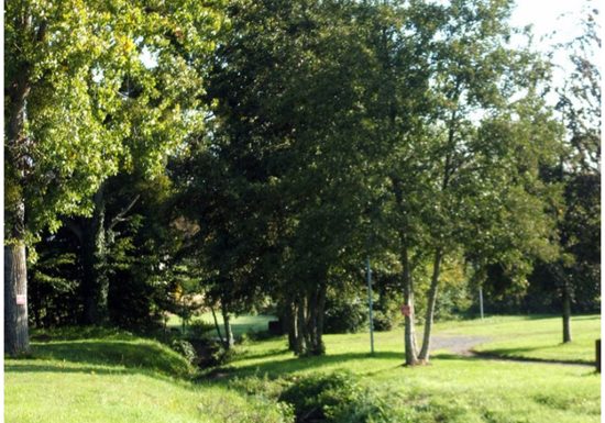 PLAN  D’EAU MUNICIPAL LA CHESNAIE DE MARIGNE LAILLE