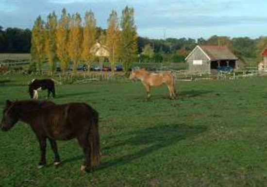 Poney Club de Changé