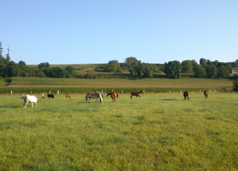 Ecurie de la Bourrelière