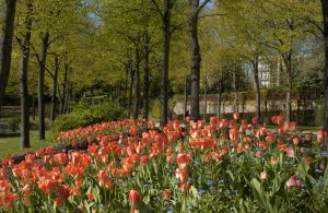 Promenade Quinconces des Jacobins