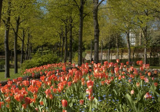 Promenade Quinconces des Jacobins