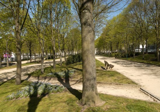 Promenade Quinconces des Jacobins