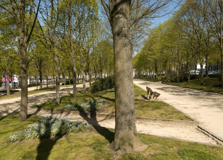 Promenade Quinconces des Jacobins