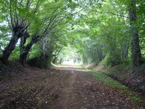 CIRCUIT N°2 : BÂTIR À CHAUX ET À SABLE – BRIOSNE-LÈS-SABLES