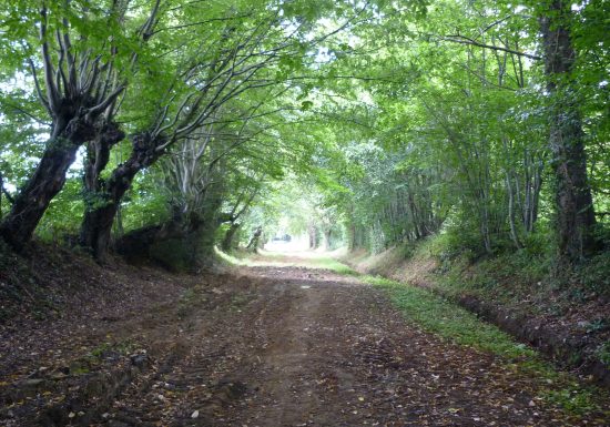 N°2 : Bâtir à chaux et à sable