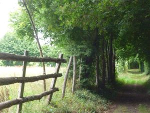 CIRCUIT N°2 : BÂTIR À CHAUX ET À SABLE – BRIOSNE-LÈS-SABLES