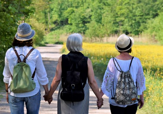 CHEMIN DES BOIS – MONCÉ EN SAOSNOIS