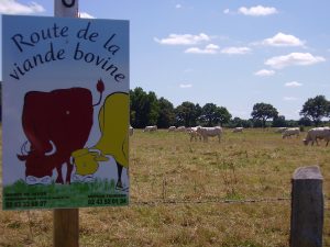 LA ROUTE DE LA VIANDE BOVINE