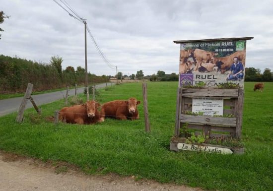 Ferme pédagogique Ruel Le Tandem