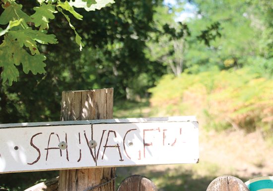 Circuit de la Croix du chêne – Challes