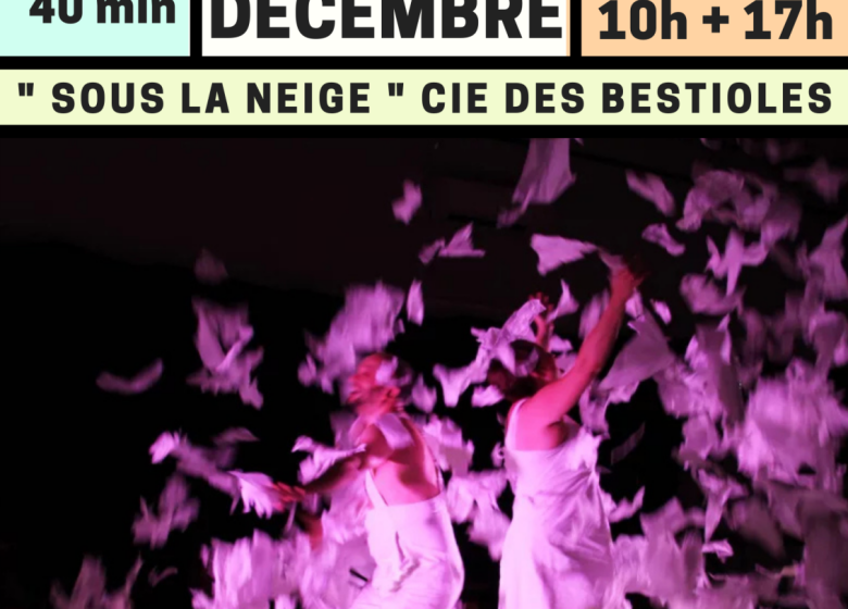 “Sous la neige” par la Cie des Bestioles (57)