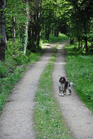 GITE LA RAVALOIRE (2 PERS)