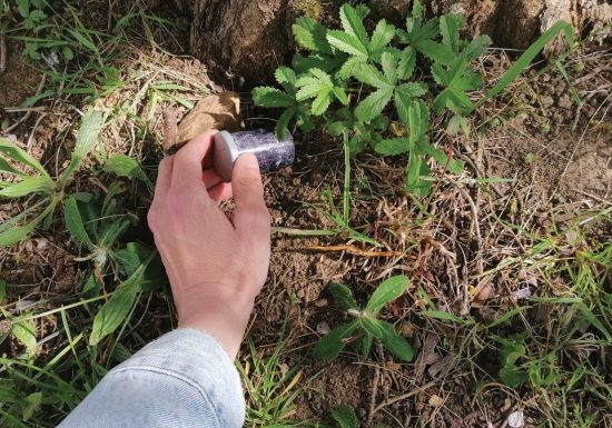 Géocaching “Sur les traces d’Aimé Touchard”