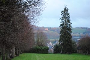 GITE DU CHATEAU DE LA GAVOLERIE