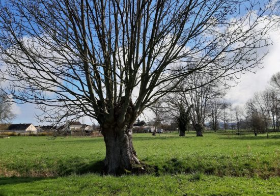 ESPACE NATURE VERNO VICI