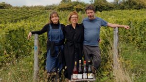 Peindre sur le motif : les vignes